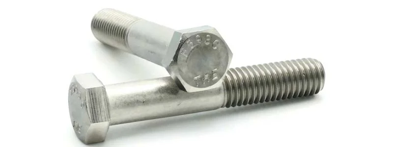 Hex Cap Nut  Manufacturer & Supplier in UAE