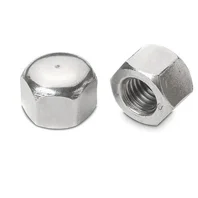  Hex Cap Nut Manufacturer in Malaysia