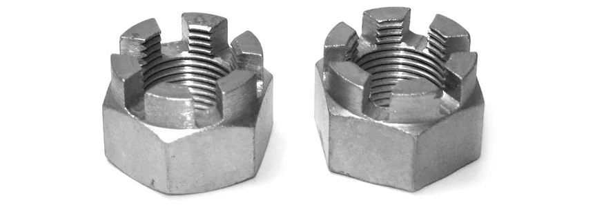 Slotted Nut  Manufacturer & Supplier in Malaysia