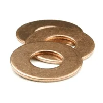 Phospher Bronze Washers Manufacturer in India