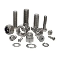 Stainless Steel 310 Fasteners Manufacturer in India