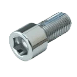 Stainless Steel 310 Carriage Bolts Manufacturer in India