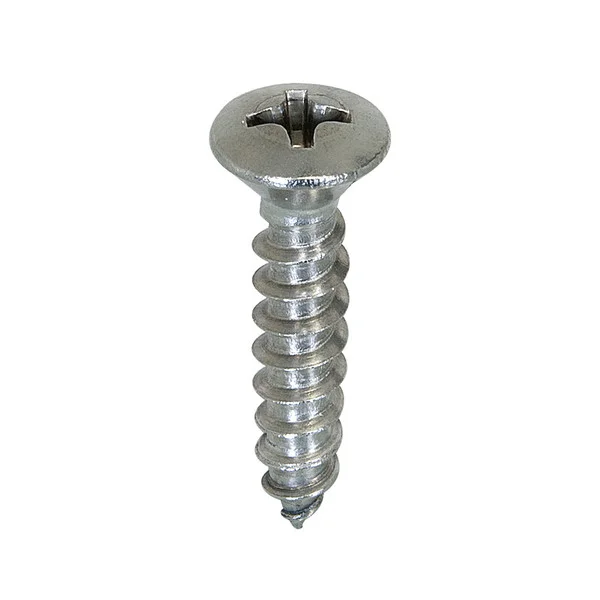 Stainless Steel 310 Screws Manufacturer in India
